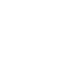 I.C. Manzoni Dina e Clarenza